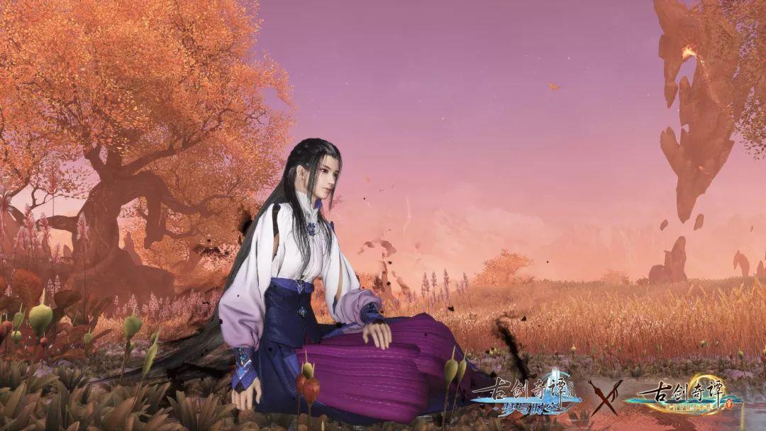 落入林间 | 与时俱进的林业碳汇监测
