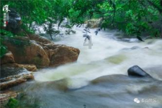 禹城:培育龙头企业打造优质畜产品供应基地